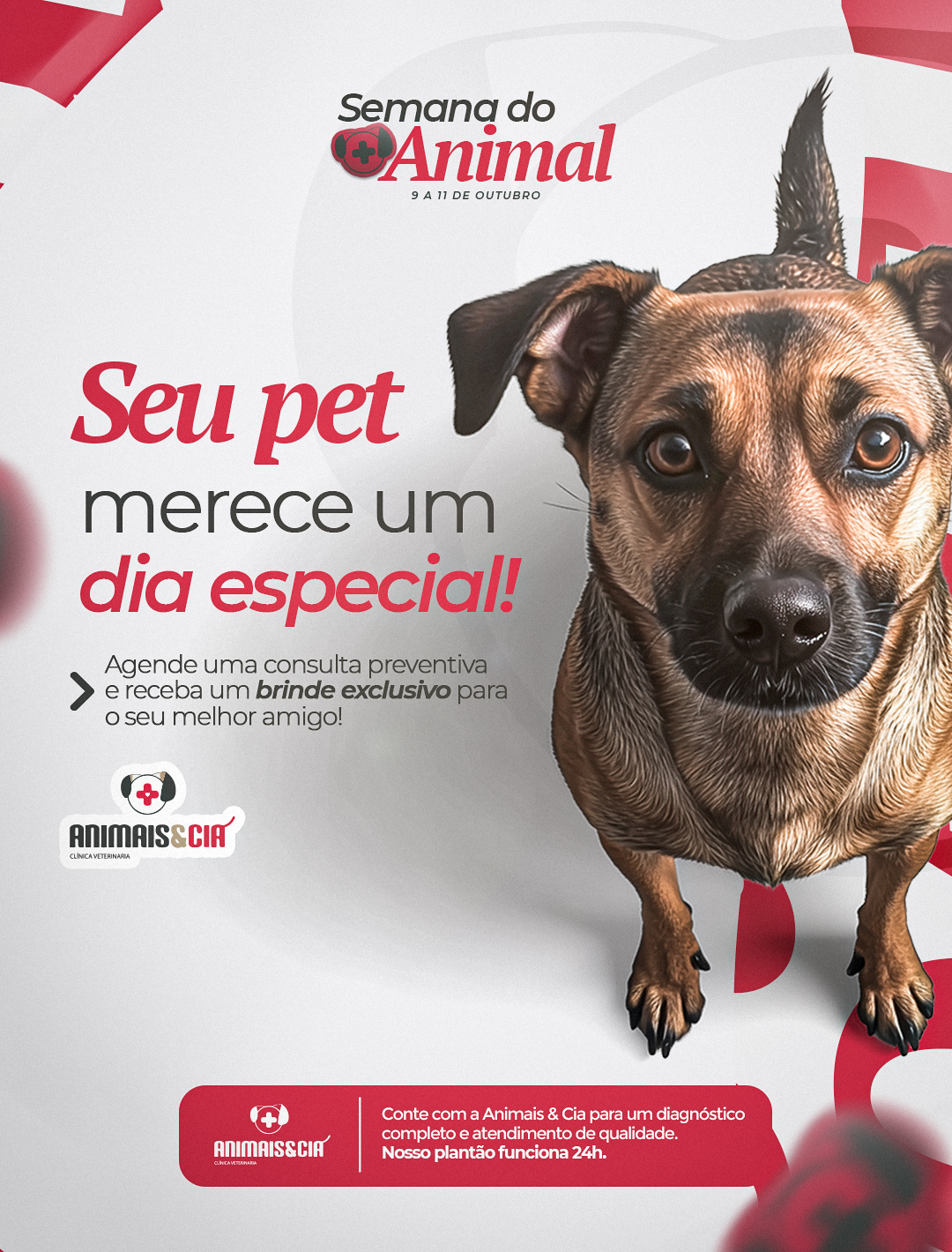 SEMANA-DO-ANIMAL[1]